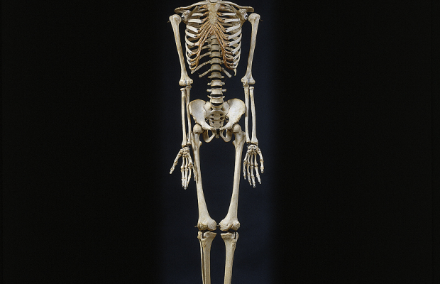 Trivia returns Monday: Only one U.S. president has ever died of THIS and it was Ulysses S. Grant  in 1885. What?