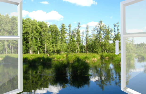 Wednesday’s question: More than half of the 100 largest lakes in the United States have THIS in common. What?