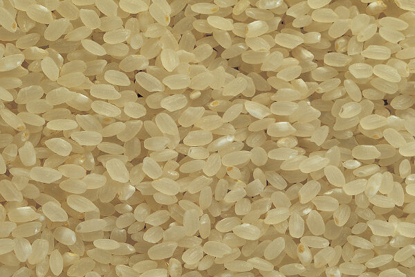 Trivia returns Wednesday: The word “Sushi” in Japanese actually refers to THIS ingredient of the dish. What?