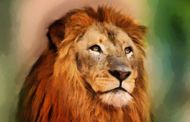 Wednesday’s Question: Which character in “It’s the Great Pumpkin, Charlie Brown” believes in the Great Pumpkin? Wednesday’s Question: Which character in “It’s the Great Pumpkin, Charlie Brown” believes in the Great Pumpkin?